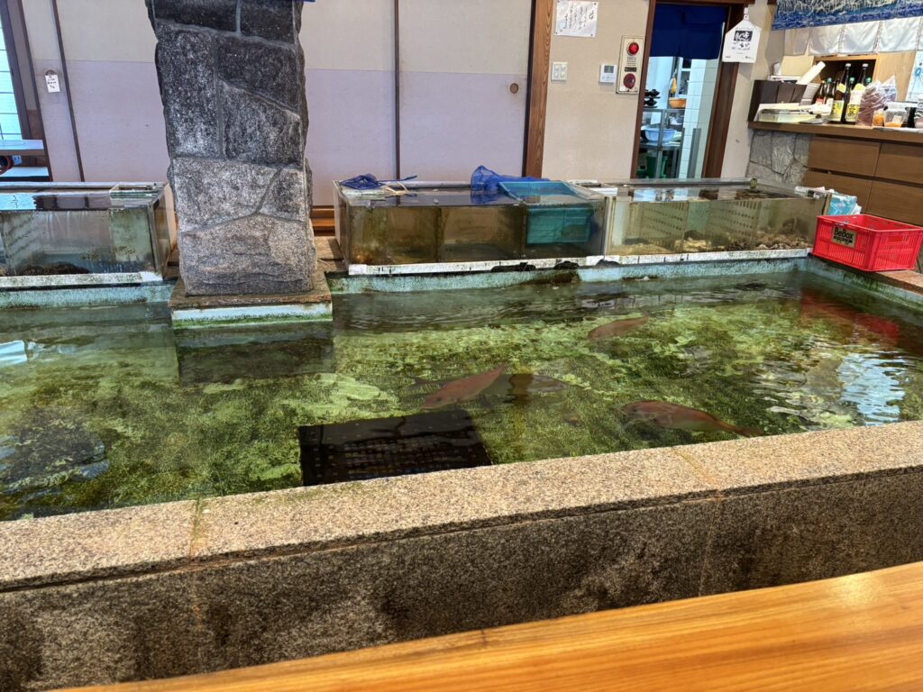魚専　2025年5月　メニュー559555275477746231